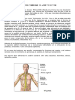 Parálisis Cerebral en Adulto Mayor