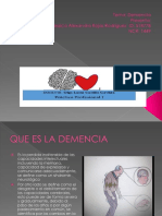 Presentacion Demencia Jessica Rojas 2