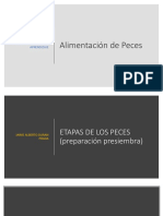 ETAPAS de LOS PECES (Preparación Presiembra) Presentacion 4