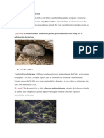 animales en peligro de extinción.docx