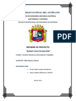 Universidad Nacional Del Altiplano: Informe de Proyecto