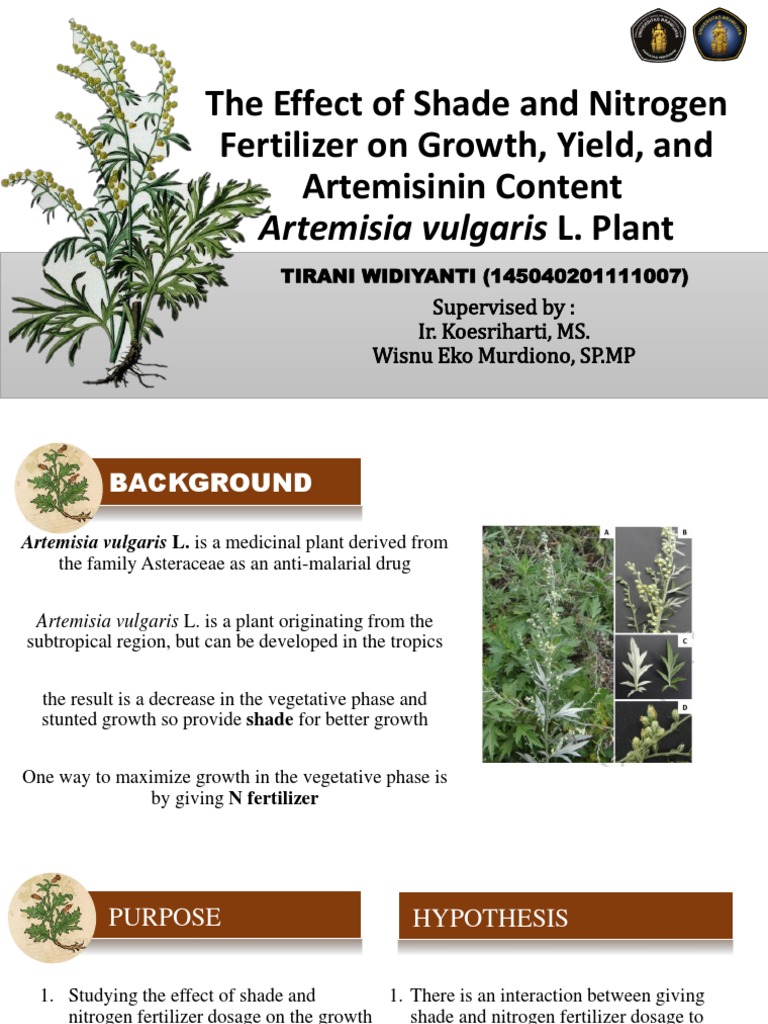 Contoh PPT Semhas Menarik | PDF | Fertilizer | Plants