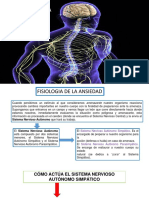 Presentación1.Pptx Exposicion Neurofisiologia y La Ansiedad