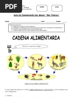 Guía Cadena Alimentaria