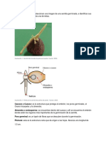 Aa1-Eva 2. Taller de Identificacion y Clasificacion de Semillas