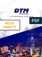Profile DTM Consulting - VN PDF