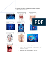 Lesson Plan Digestive System