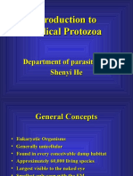 Medical Protozoa