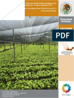 cacao_produccion.pdf