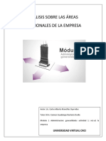 ANALI_SIS_SOBRE_LAS_AREAS_FUNCIONALES_DE.docx