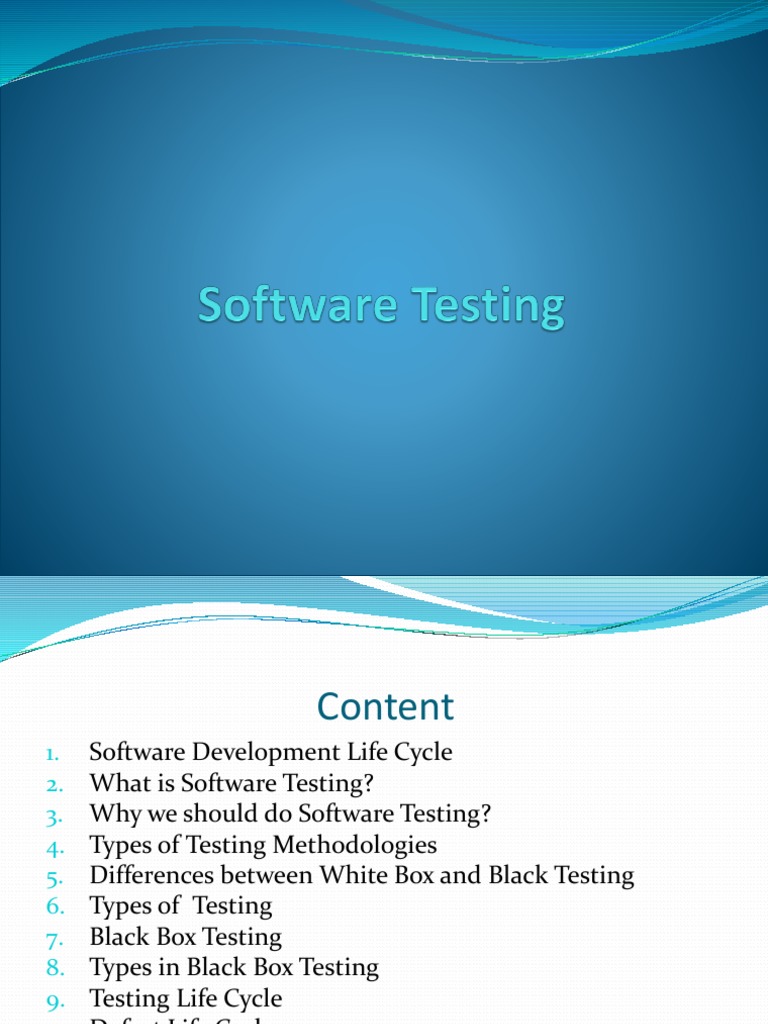 Manual Testing | PDF | Software Testing | Software Bug