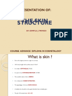 Skin Structure Presentation