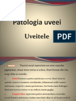 Patologia - Uveei - PPTX Filename UTF-8''Patologia Uveei