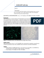 AKR 209 GFP A549 Cell Line