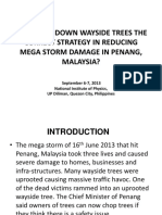 Wayside Trees and Mega Storm (Slides)