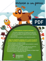 Folleto Como Acercarse A Un Perro PDF