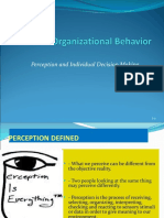 Perception and Individual Decision Making