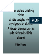 A Femur Distalis Ízületvég, A Tibia Condylus És A Lábszár Diaphysis Törései (DOTE)