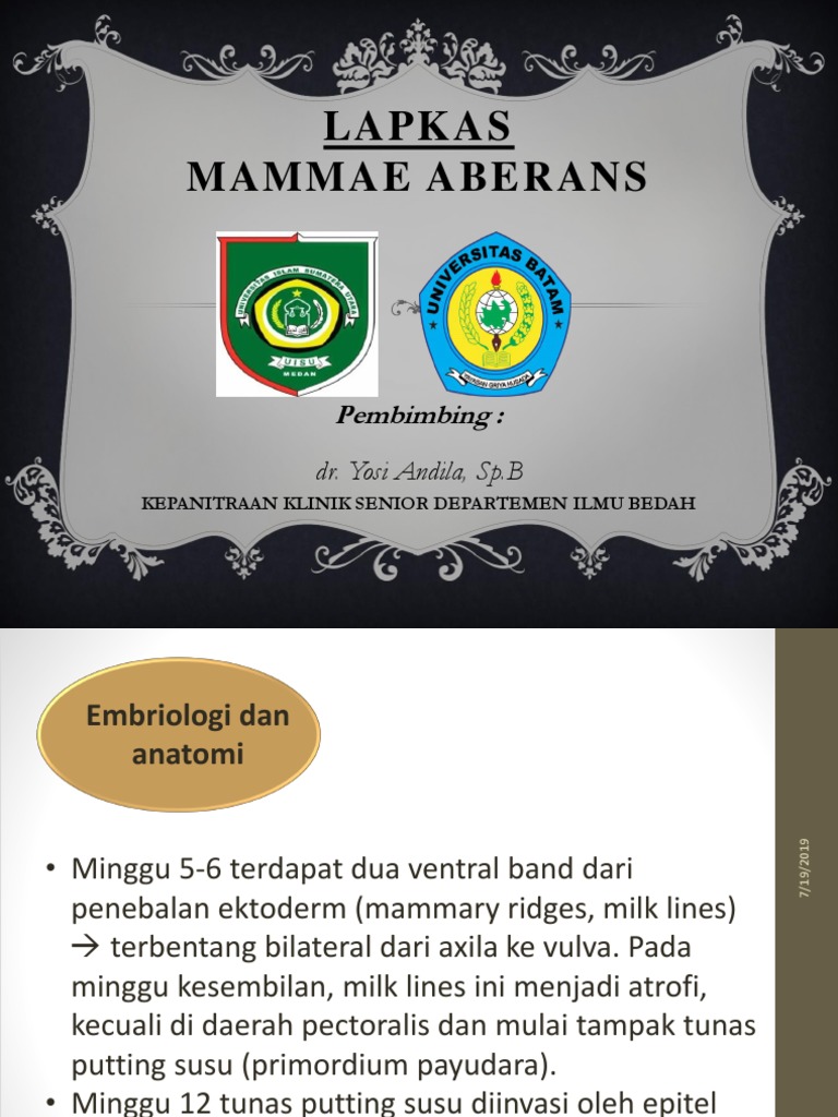 Mammae Aberans PDF