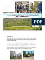 ejemplo Proyecto-Carbono-Choco-AdapCC.pdf