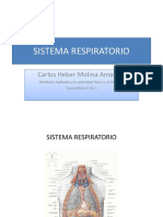 Sistema Respiratorio