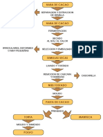 Cacao Proceso PDF