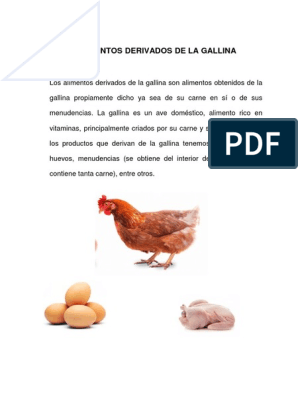 Alimentos Derivados de La Gallina | PDF
