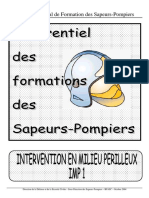 IMP_1.pdf