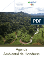 HONDURAS-Agenda Ambiental.pdf