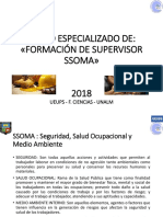 -Diapositivas-SSOMA.pdf