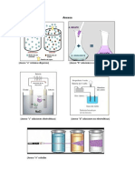 anexos quimica