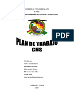Plan de Trabajo CNS