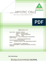 Eukaryotic Cells PDF