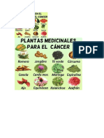 plantas medicamento para cancer.docx