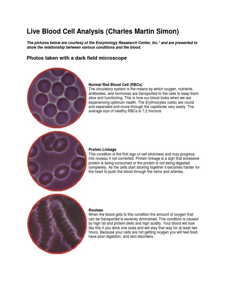 Live Blood Analysis PDF Platelet Blood
