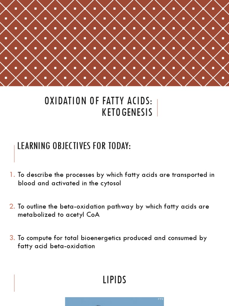Beta-Oxidation of Fatty Acids Explained | PDF | Adenosine Triphosphate ...