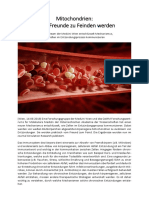 Mitochondrien - Wenn Freunde Zu Feinden Werden PDF