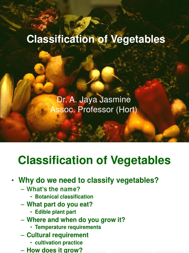 Classification of Vegetables Overview | PDF | Eggplant | Vegetables