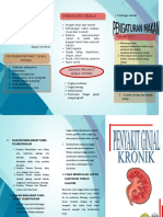 Leaflet CKD