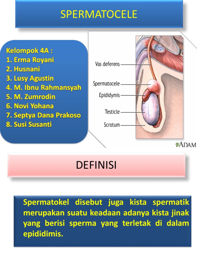 Chiroyli katta kokrak bilan porno