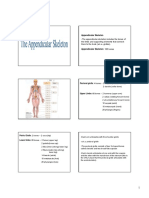 Appendicular Skeleton 