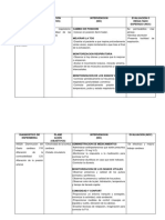 Diagnostico de Enfermeria Priorizad1 Cuadros