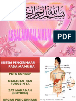 KD 3.7 Kelas Xi Sistem Pencernaan