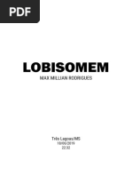 Descrição de conto portugues