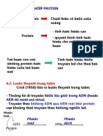 HS-Sinh Tong Hop Protein