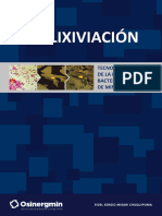 Biolixiviacion (1).pdf
