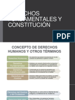 DERECHOS FUNDAMENTALES Y ORDEN INTERNO