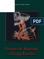 Guiones-de-Angiología-y-Cirugía-Vascular-1.pdf