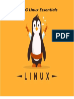 NDG Linux Essentials.1