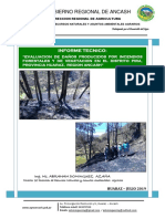 Informe Incendios Forestales y de Vegetación en El Distrito Pira, Provincia Huaraz, Ancash, Perú